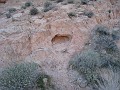 Las Vegas 2010 - Valley of Fire 0791